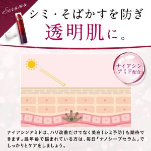 導入美容液 化粧水 ESIENCE ナノシープ...の詳細画像5