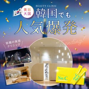 No.C ビタミンC サプリ リポソーム 10...の詳細画像3
