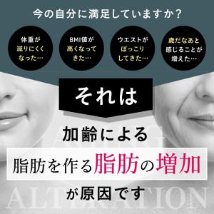 No.C ビタミンC サプリ リポソーム 10...の詳細画像4