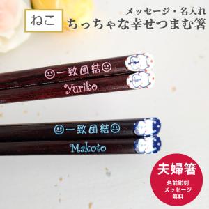 大事にするネコ 夫婦箸 ペア セット 名前入り 二膳 お箸 プレゼント 結婚祝い ネコ 猫 かわいい 名入れ おすすめ お祝い 誕生日 記念日 贈り物 名前 メッセージ