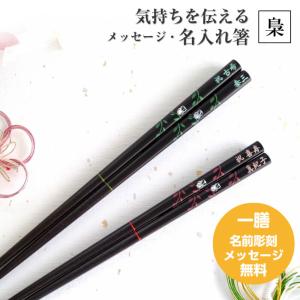 染木夜光ふくろう 梟 緑 赤 箸 一膳 フクロウ 縁起 名入り 名入れ お箸 父 母 親 名前入り かわいい 祖父 祖母 プレゼント 還暦 古希 喜寿 傘寿 ネーム 入り