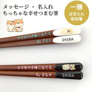 天削 柴犬 箸 一膳 犬 イヌ 名前入り お箸 プレゼント 男性 女性 名入れ 父 母 お祝い 誕生日 記念日 贈り物 名前 文字入れ 送料無料 かわいい 洋風 若い 20代