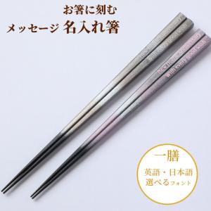 浮雲 シルバー ピンク 名入れ 箸 一膳 単品 誕生日 おしゃれ プレゼント シンプル かわいい ピンク 名前入り お箸 彼氏 彼女 お祝い 刻印 家族 名前 ネーム 入り