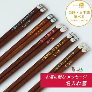 みみぷく箸 箸 一膳 犬 猫 イヌ 名前入り お箸 プレゼント 男性 女性 名入れ 父 母 お祝い 誕生日 記念日 贈り物 名前 文字入れ 送料無料 かわいい 洋風 若い