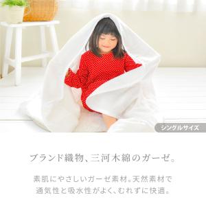 はぐまむ ガーゼケット 6重 ベビーM 70×...の詳細画像3
