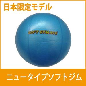 メール便対応 ギムニク ソフトジム ニュータイプ 日本限定版...