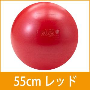 バランスボール ギムニク Plus 55 レッド ノンバースト