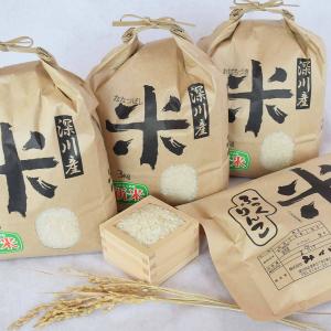 信田缶詰 いわしの黒アヒージョ 190g×12個 : にっぽん津々浦々 - 通販