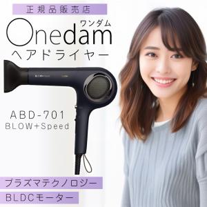 美容室サロン業務用プレミアムドライヤー セラミック100 美容室サロン業務用プレミアムドライヤー セラミック100