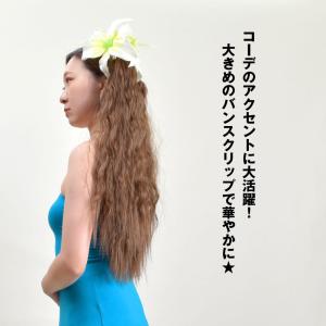 フラダンス衣装 ヘアクリップ アクセサリー ハ...の詳細画像2