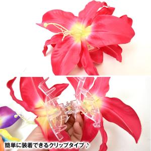 フラダンス衣装 ヘアクリップ アクセサリー ハ...の詳細画像3