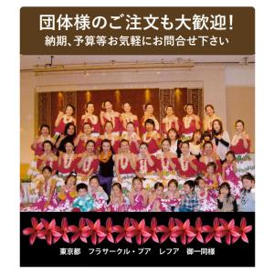 フラダンス衣装 フラダンス かぼちゃパンツ シ...の詳細画像5