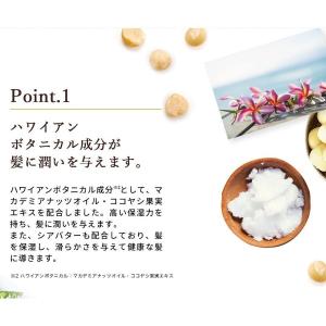 【公式】フラガール カラートリートメント同色2...の詳細画像4