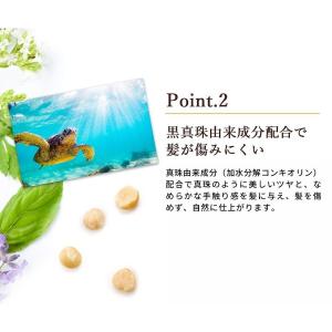 【公式】フラガール カラートリートメント同色2...の詳細画像5