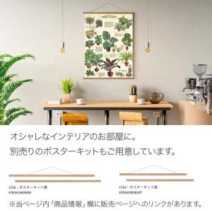 ポスター 海外ビンテージデザイン おしゃれ レ...の詳細画像2