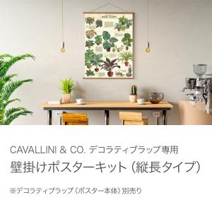 壁掛け用ポスターキット 縦長タイプ 幅56cm ポスターフレーム カバリーニ社純正製品 海外ビンテージデザイン おしゃれ レトロ インテリア 銀座吉田 送料無料