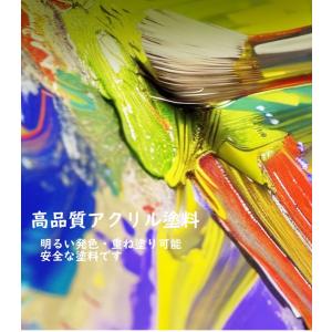 大人の塗り絵 ぬりえ アクリル絵の具 カラーリ...の詳細画像5