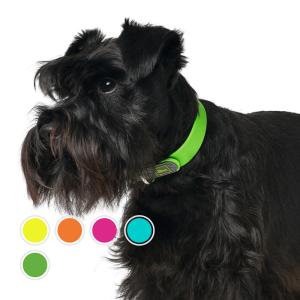 ポールスミス 首輪 リード 革 Paul Smith 首輪 犬 猫 ブランド おしゃれ ペット用品 新作 新品 未使用 Whxadogc リード 首輪 マルチストライプ Pas Whxadogcv26rmu Salada Bowl おしゃれブランド通販 通販 Yahoo ショッピング