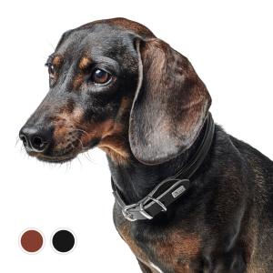 COACH（コーチ） 【並行輸入品】コーチ 犬 リード ドッグリーシュ