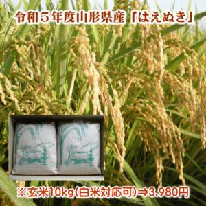 令和５年度山形産「はえぬき」玄米１０ｋｇ（５ｋｇ×２袋）※但し、沖縄県・離島への配達は別途送料500円かかります。
