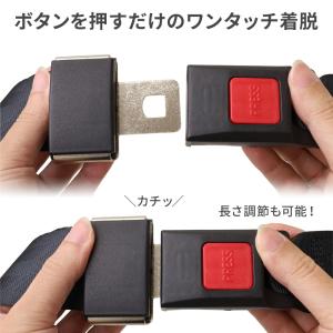 シートベルト 2点式 2点式シートベルト 汎用...の詳細画像4