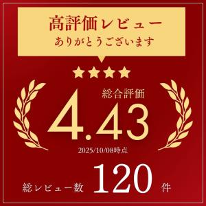 アンテナケーブル 隙間 テレビ 窓 フラット ...の詳細画像4