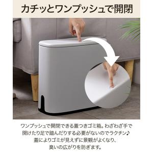 ゴミ箱 小さい 蓋付き 分別 おしゃれ スリム...の詳細画像1