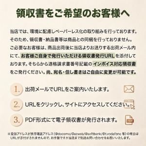 ガラスリペア ガラスリペアキット フロントガラ...の詳細画像5