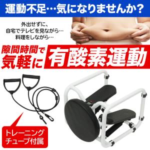 ステッパー ハンドル付き ツイスト 静音 ダイ...の詳細画像1
