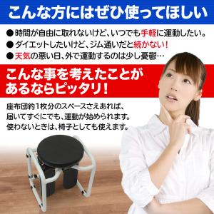 ステッパー ハンドル付き ツイスト 静音 ダイ...の詳細画像2