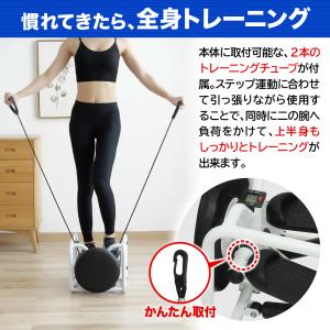 ステッパー ハンドル付き ツイスト 静音 ダイ...の詳細画像4