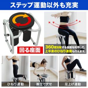 ステッパー ハンドル付き ツイスト 静音 ダイ...の詳細画像5
