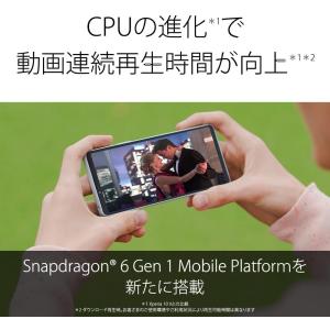 Xperia 10 VI XQ-ES44 SO...の詳細画像2