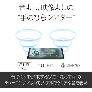 Xperia 10 VI XQ-ES44 SO...の詳細画像4