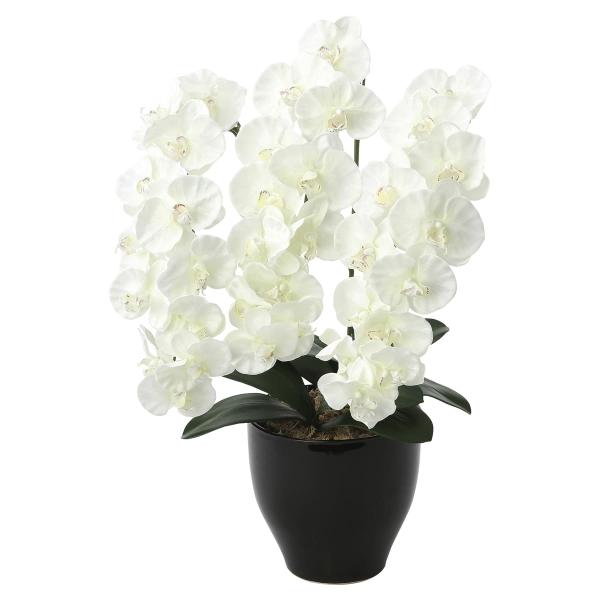 法人様限定 アートクリエイション オフィス家具 造花 アーティフィシャルフラワー プレミアム胡蝶蘭W...