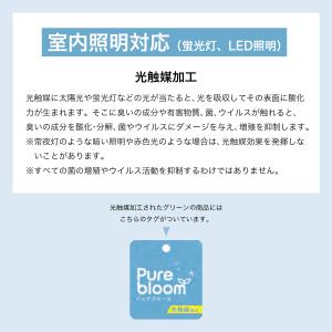 法人様限定 東京堂 オフィス家具 フェイクグリ...の詳細画像2