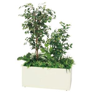 法人様限定 ベルク オフィス家具 フェイクグリーン 人工観葉植物 寄せ植えプランター フィカスベンジャミン＆シェフレラ H1700 GR5031