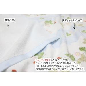 激安の タオルケット ダブル 西川産業 ウェッジウッド 日本製 ｗｗ７６２０ Sedaliachamber Com