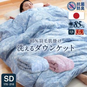 ホルミー プレミアムケット ハーフ クリーム ハーフケット