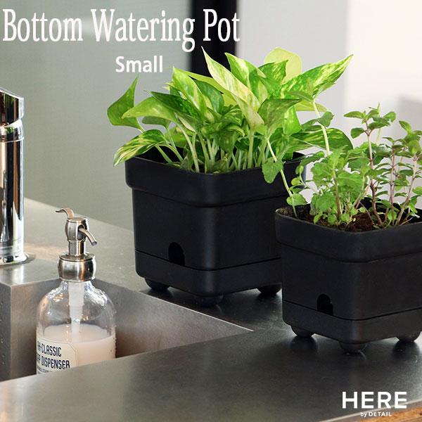 Bottom Watering Pot Small ボトム ウォータリング ポット スモール 底面給...
