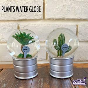 DULTON（ダルトン） PLANTS WATER GLOBE プランツ ウォーター グローブ