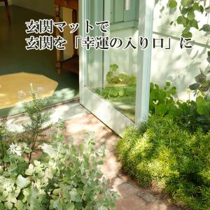 風水 玄関マットの色 開運 天然素材 黄色 洗...の詳細画像1