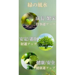 財布 金運 風水 グリーン 緑 金運アップ レ...の詳細画像2