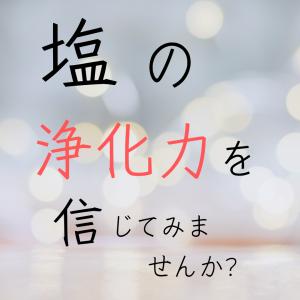 盛り塩 セット まとめ買い おしゃれ 交換不要...の詳細画像3