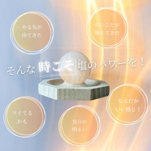 盛り塩 セット まとめ買い おしゃれ 交換不要...の詳細画像4