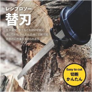 ネセクト レシプロソー 替刃 ステンレス (225mm×1枚)TPI 0.7mm厚 電動のこぎり用 [日本国内企画品 3年保証]｜huyugomori