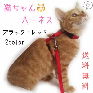 リード ハーネス セット 猫 外れない シンプル おしゃれ レッド ブラック ペット 外れにくい おでかけ 散歩 病院 全2色 ポイント消化 34