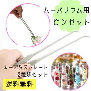 ハーバリウム ピンセット ロング 27cm 2種...の商品画像
