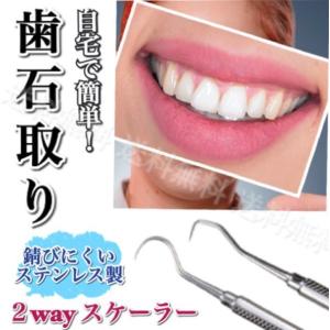 歯石取りランキング ギガランキングｊｐ