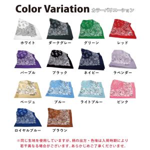 大判バンダナ BIGサイズ ペイズリー柄 60...の詳細画像1